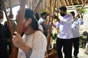 Acara numbuk padi ppada perayaan seren taun 2020.